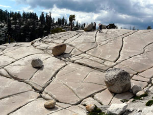 mindfulness Laia Monserrat - foto de campo seco