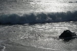 una playa 