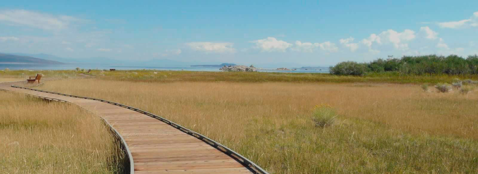 Chemin de bois vers l’horizon