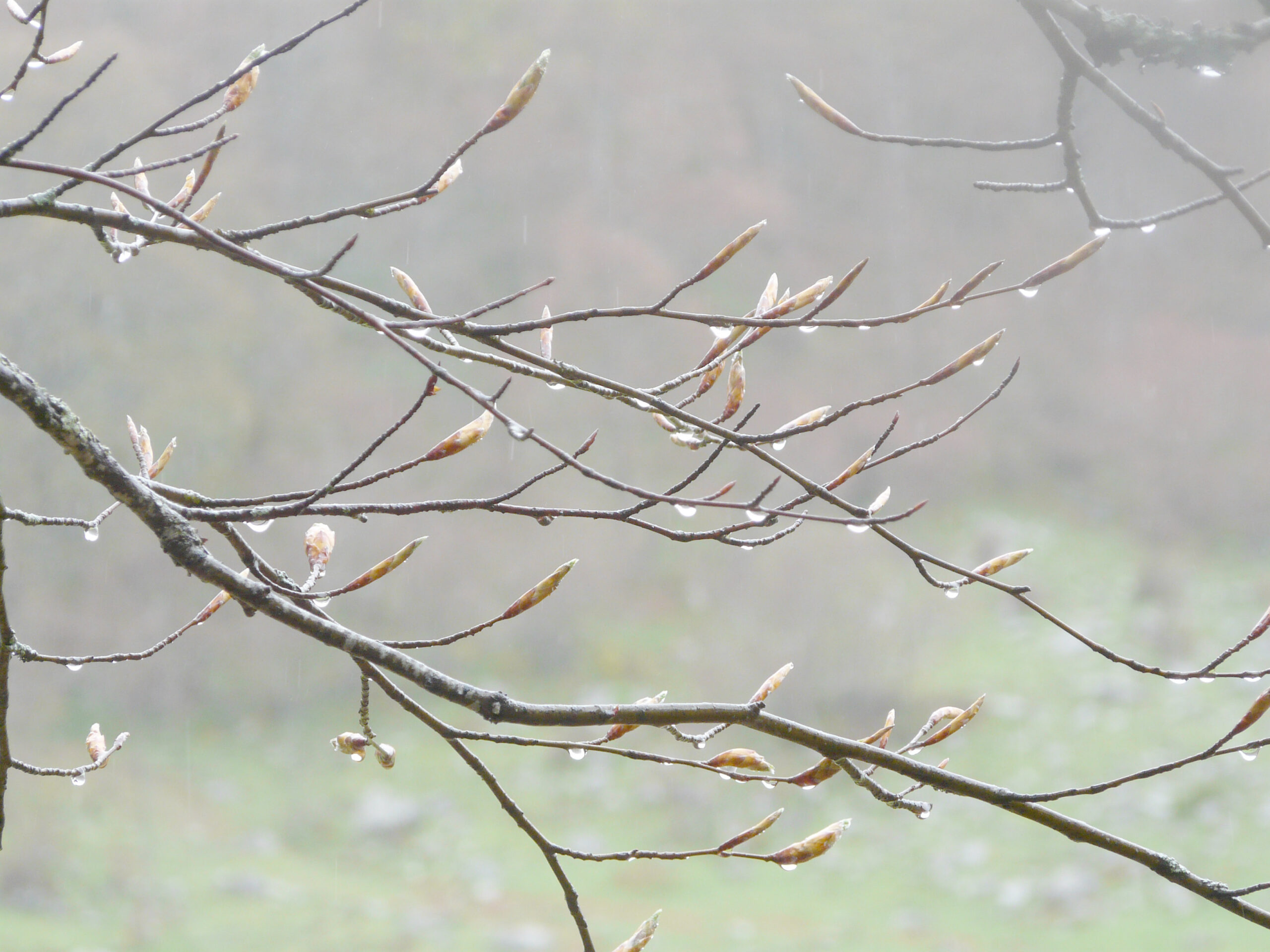 ansiedad por obsolescencia